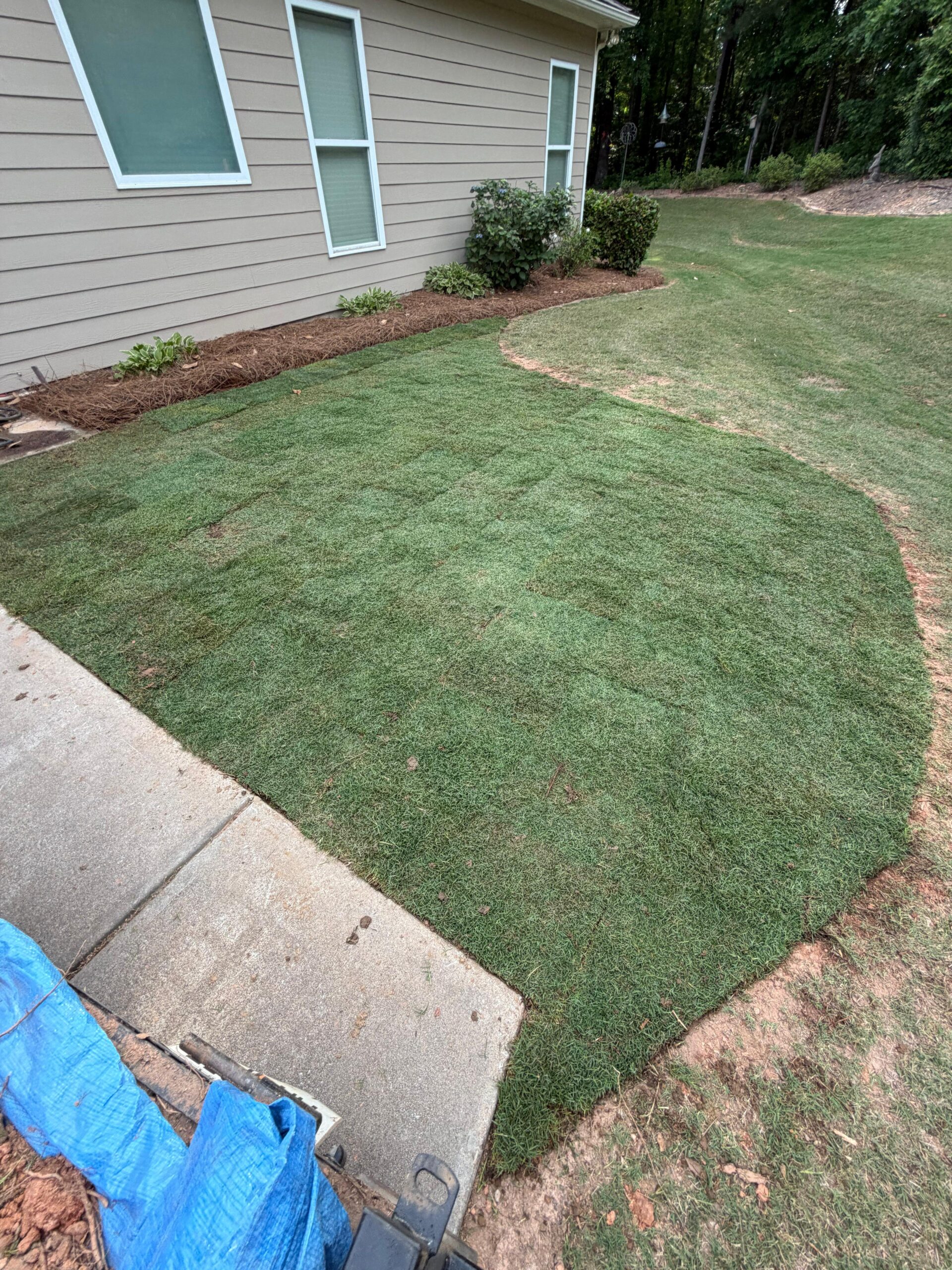 Lawn care Newnan GA