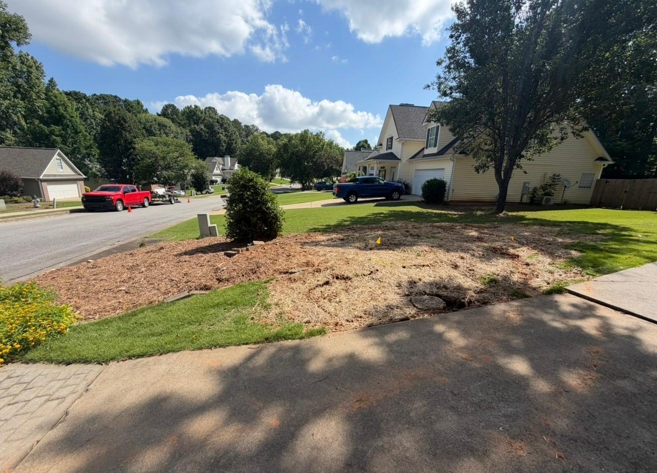 Front yard cleanup & refresh Newnan GA
