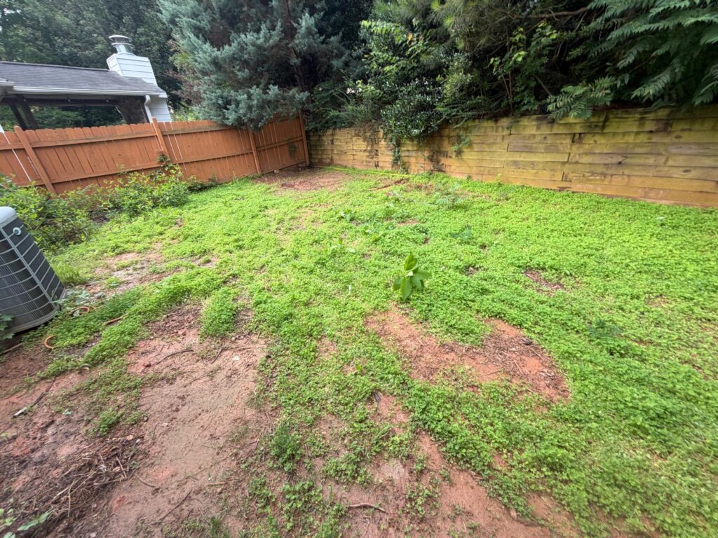 Before: Full mulch and bed transformation, Landscaping Newnan GA