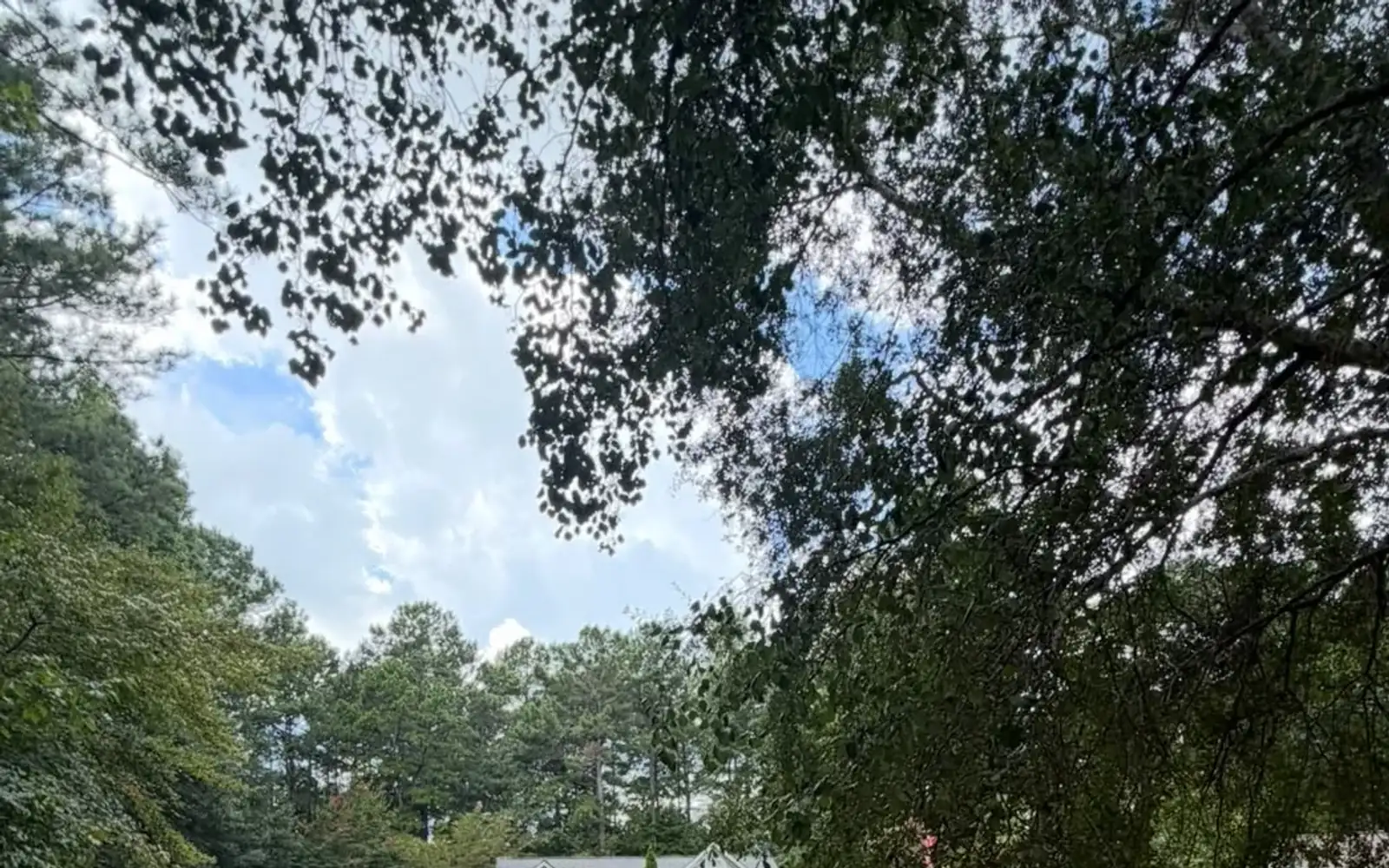 Landscape Design & Install in Tyrone GA